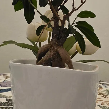 La Dimora Di Achille Apartamento Bari