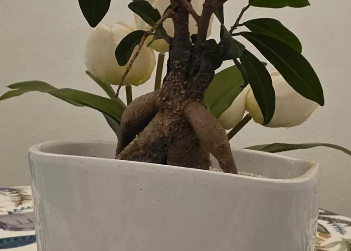 La Dimora Di Achille Apartament Bari